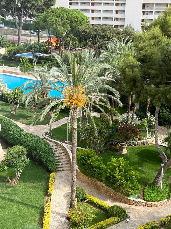 בנידורם Playmon Park Levante Beach מראה חיצוני תמונה